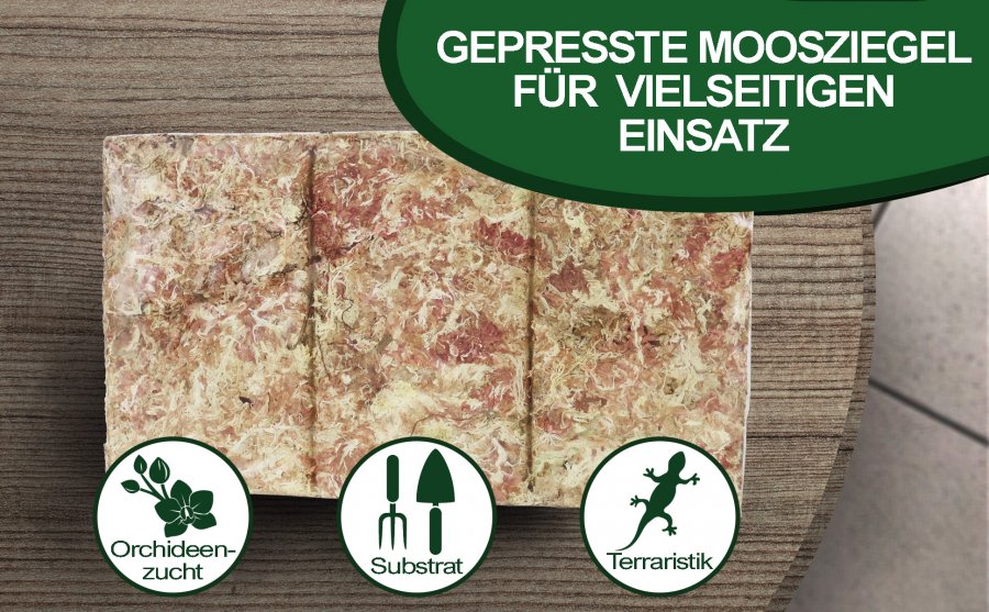 Sphagnum Moos aus Chile Ziegel 100g